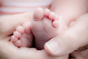 35th Anniversary of the first-born child after in-vitro fertilization in Czech Republic