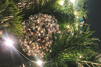 Christmas time at the Clinic